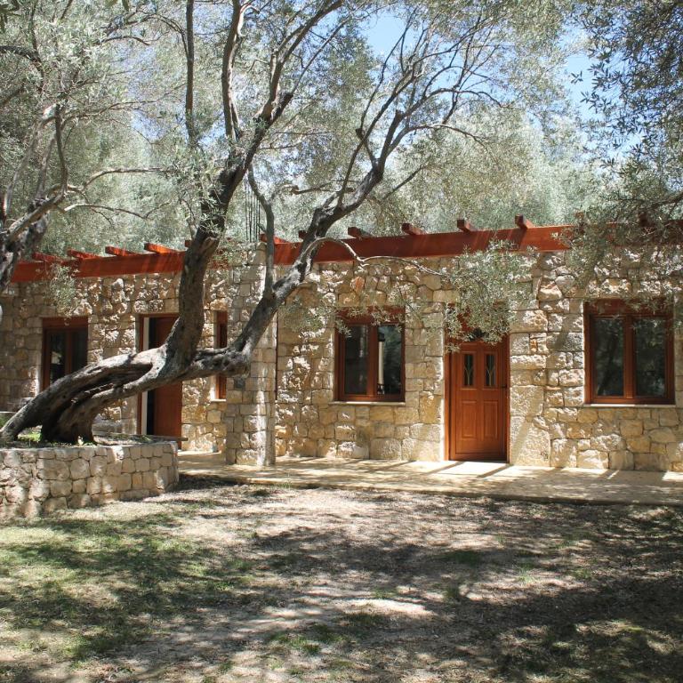 Stonehouse in Olives - Apartman sa 1 Spavaćom Sobom - 6