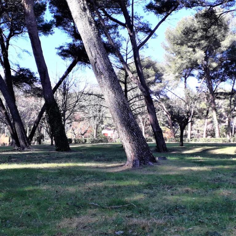 Domaine de La Coudouliere, Vue Mer, Plage, Piscine et Parc - One-Bedroom Apartment - 68