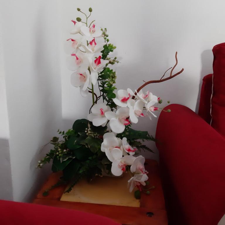 Nijona 1 - Apartman - 11