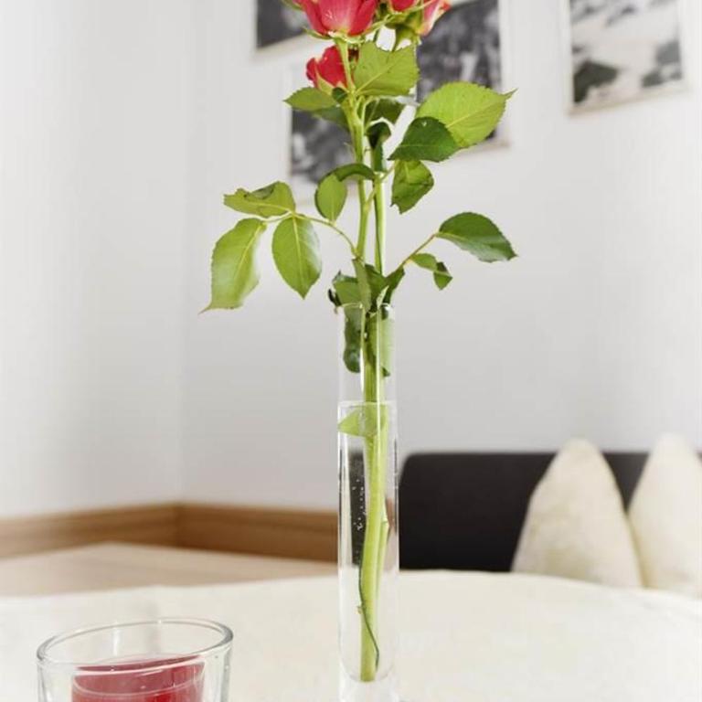 Haus Nannaree - Apartment mit 3 Schlafzimmern und Dusche - 49