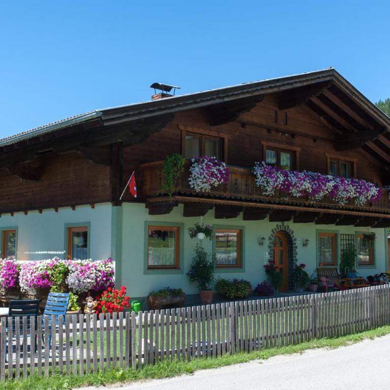 Kleinwidmoos-Apartment - Apartment mit 1 Schlafzimmer und Terrasse - 1