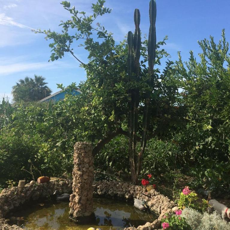 Casa Baleso - Vacation Home - 29