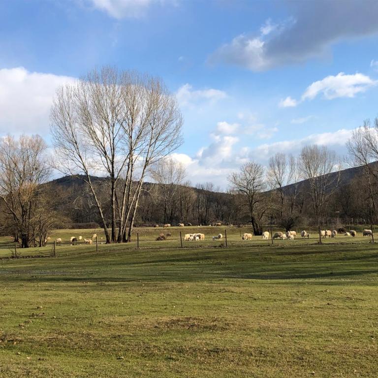 Green Silence - Vuk - Apartman sa 2 Spavaće Sobe - 19