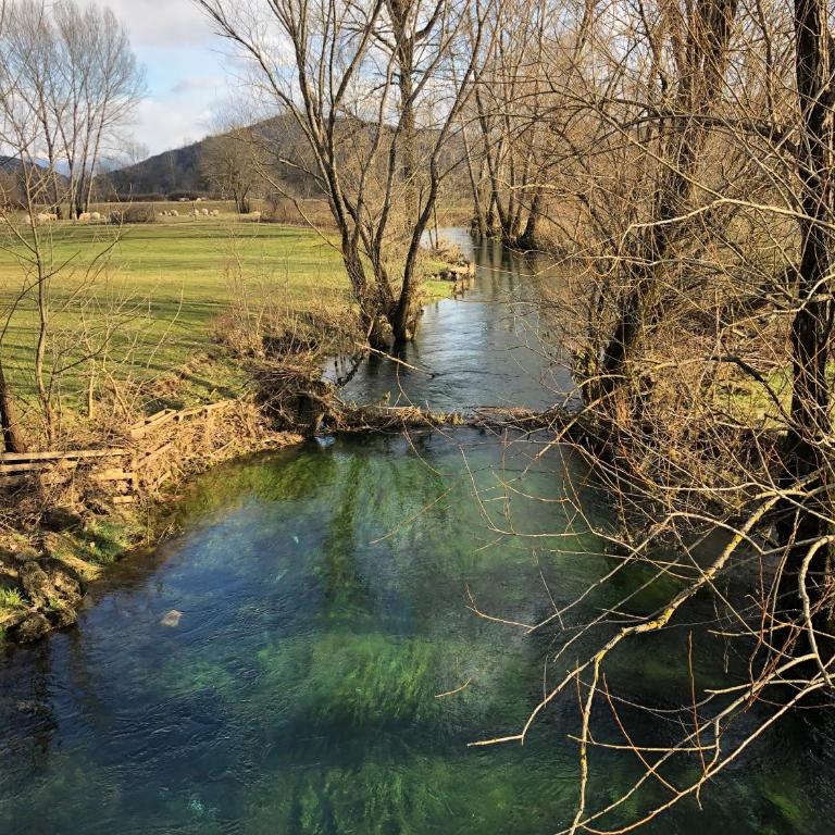 Green Silence - Vuk - Apartman sa 2 Spavaće Sobe - 18