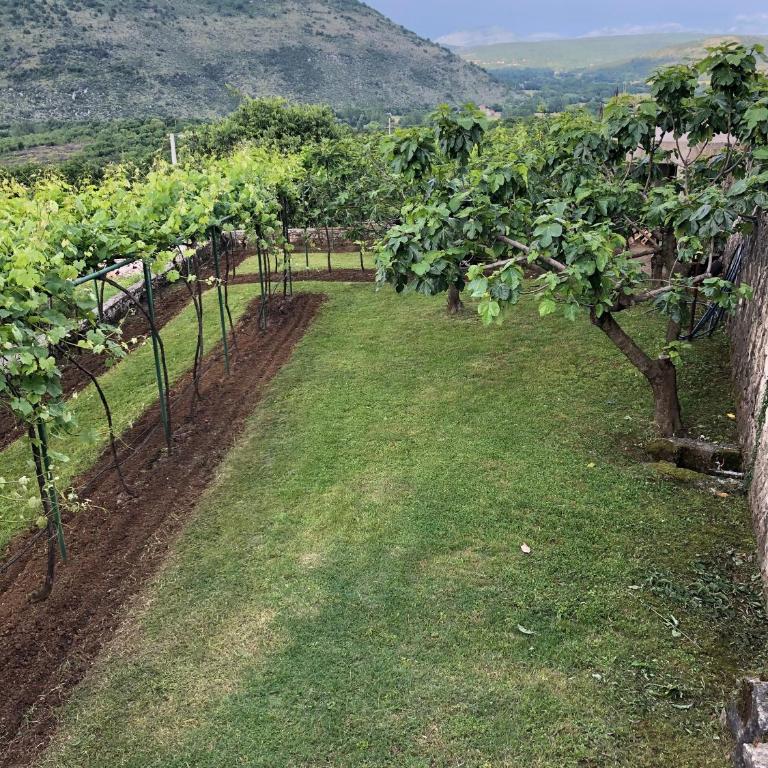 Green Silence - Vuk - Apartman sa 2 Spavaće Sobe - 12