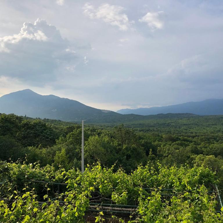 Green Silence - Vuk - Apartman sa 2 Spavaće Sobe - 8