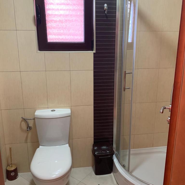 Apartments Zvicer - Milica - Apartman sa 1 Spavaćom Sobom - 4