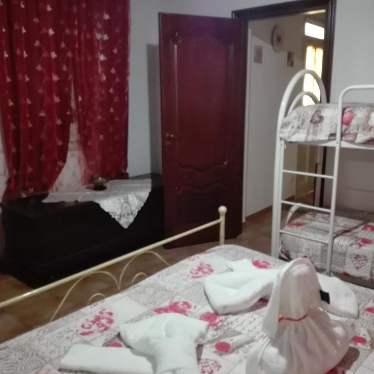 Le Case di Zia Palma - Appartamento con 1 Camera da Letto - 15