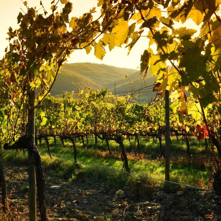Luxury Serviced Cottage in a Historical Chianti Borgo - Casa con 2 Camere da Letto - 47
