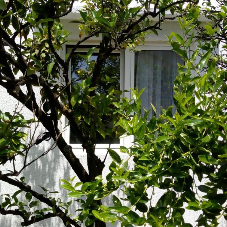 Tea apartments - Studio Apartment - 18