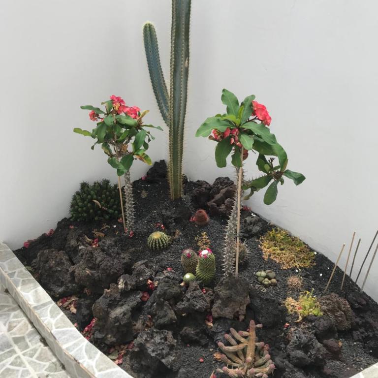 Apartamento Piscis - Apartment - Ground Floor - 8