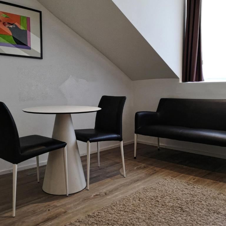 Hôtel du Raisin - Studio - 4
