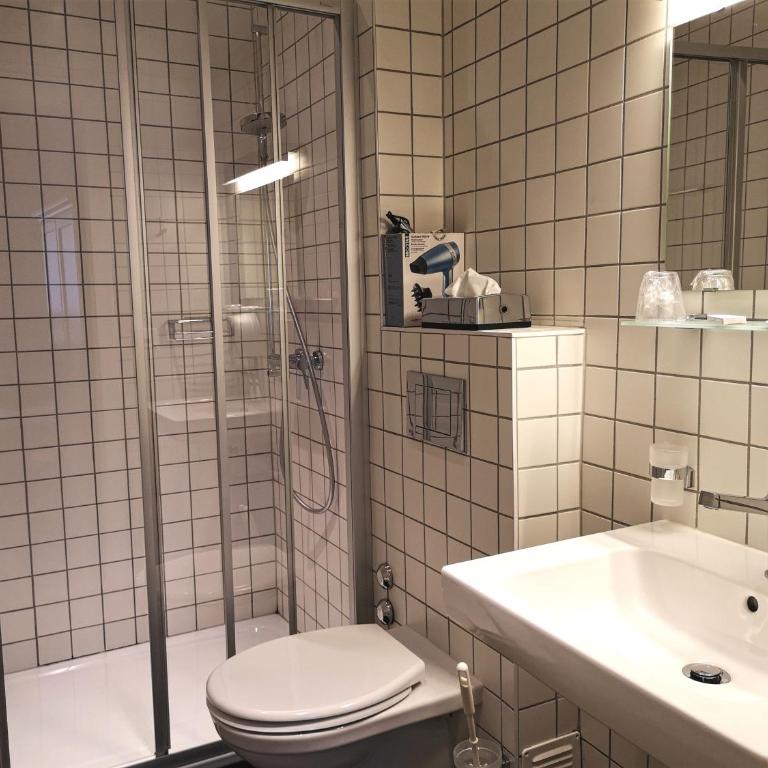Hôtel du Raisin - Einzelzimmer - 3