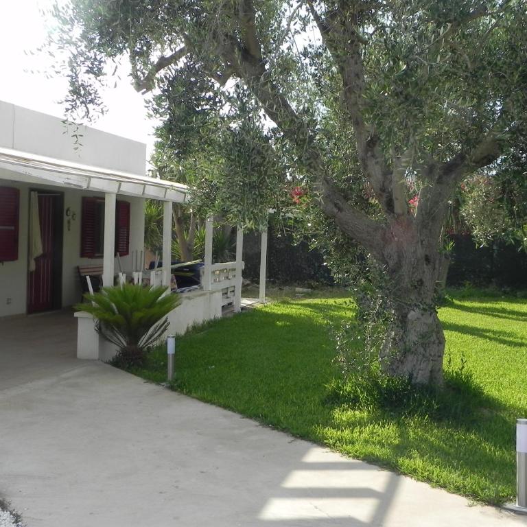 L'ULIVO Marzamemi - Villa con Vista Giardino - 2