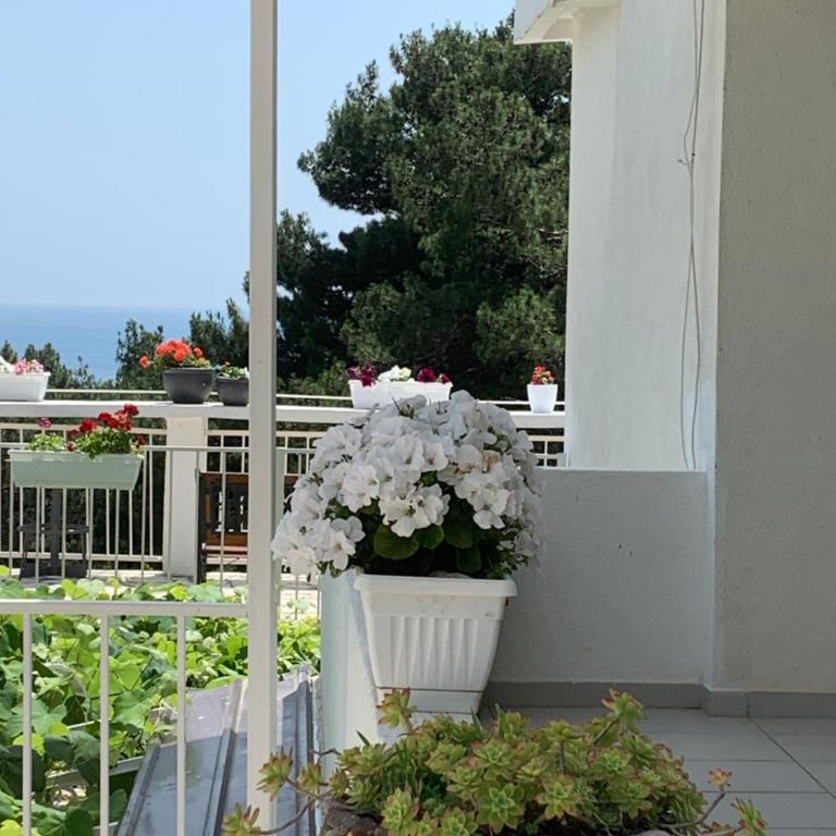 Apartments Ljiljana - Two-Bedroom Apartment with Terrace and Sea View - 6