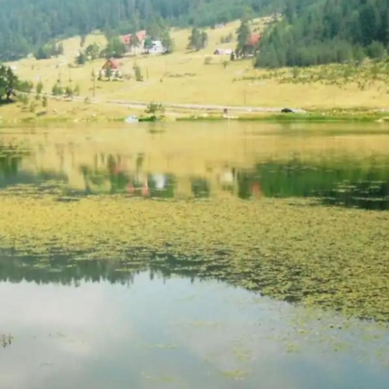 Apartment Helena - Four-Bedroom House - 40