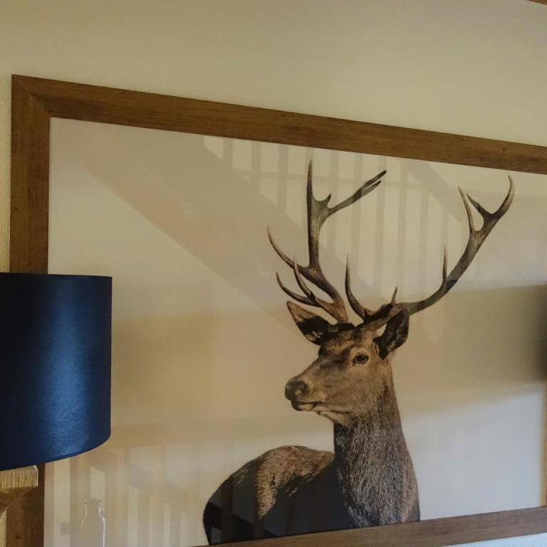 Clubhotel Hinterthal Am Florysee 6 - Chalet Supérieur - 42