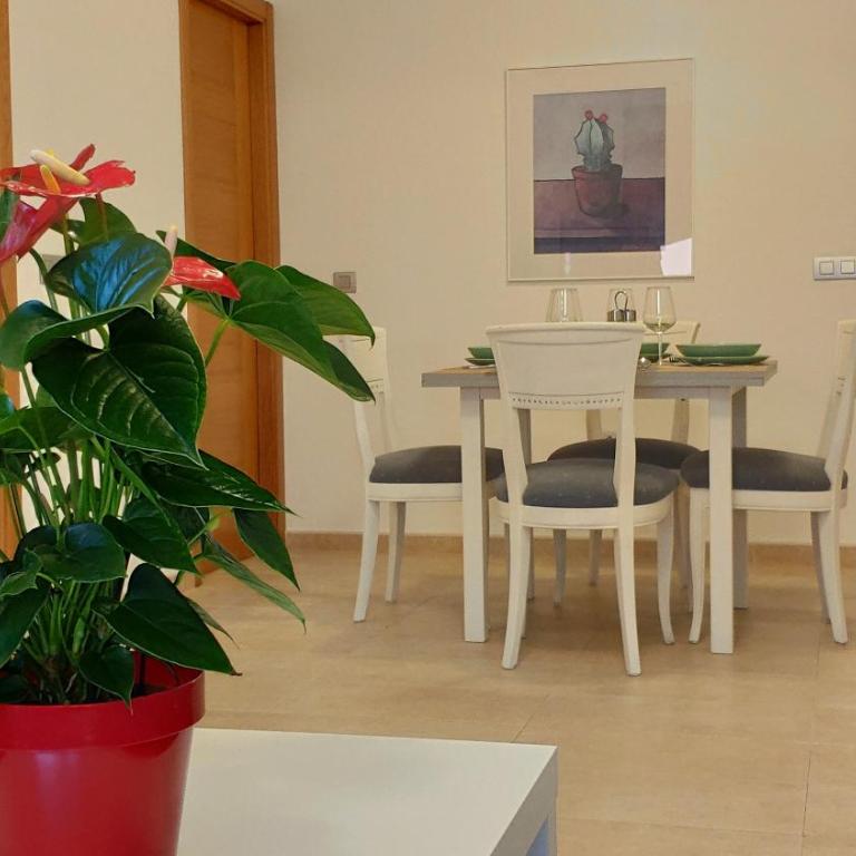 Fuerteventura - Apartamento Ciudad 2.3 - Apartamento de 3 dormitorios - 3
