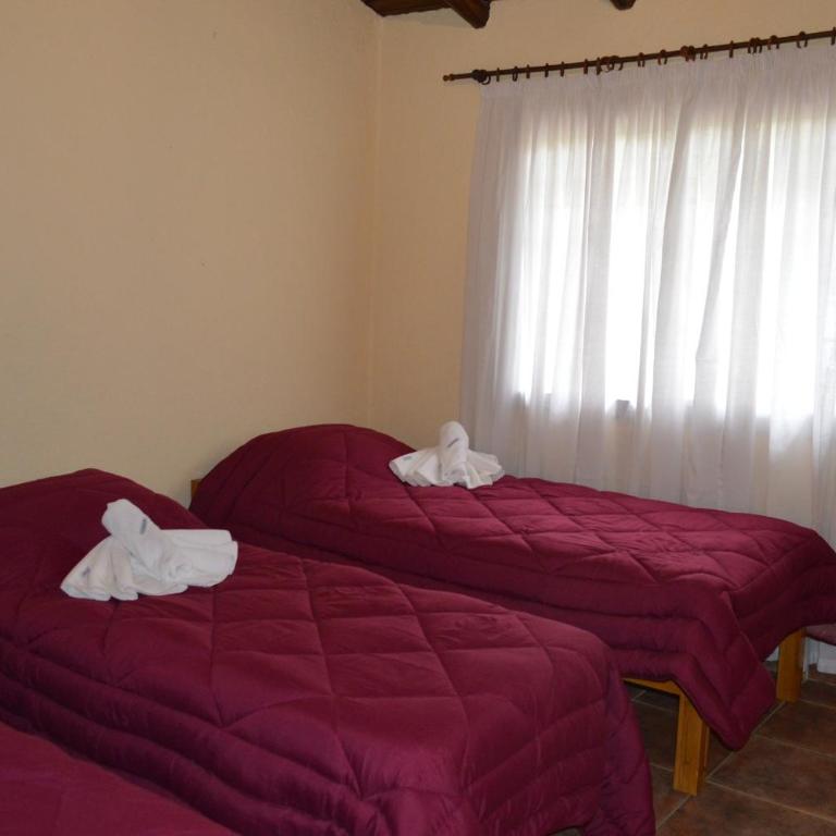 Nonno Aldo Casa de campo - Casa de 2 dormitorios - 18