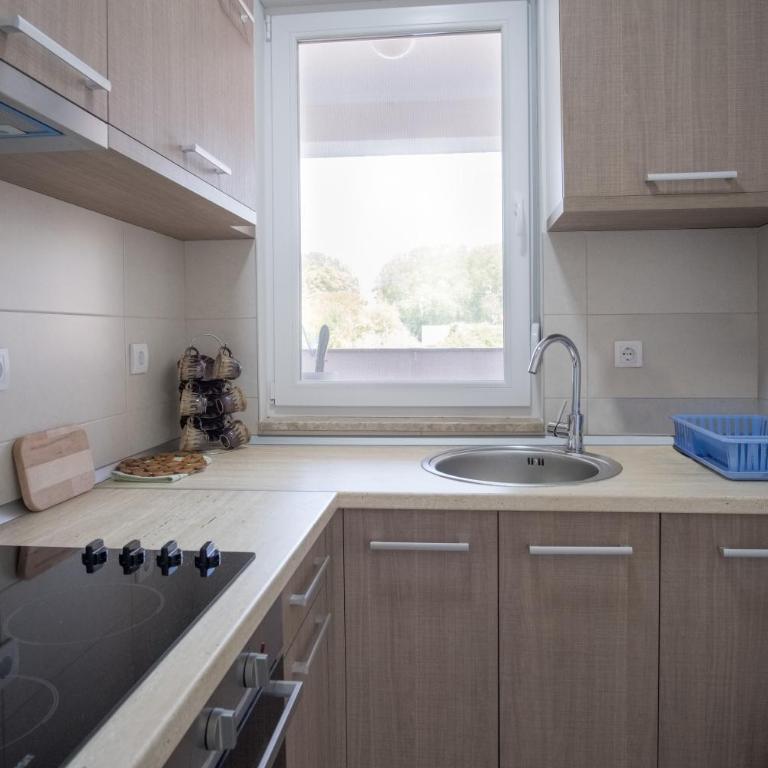 Apartmani Tribunija - Superior Apartman - 5