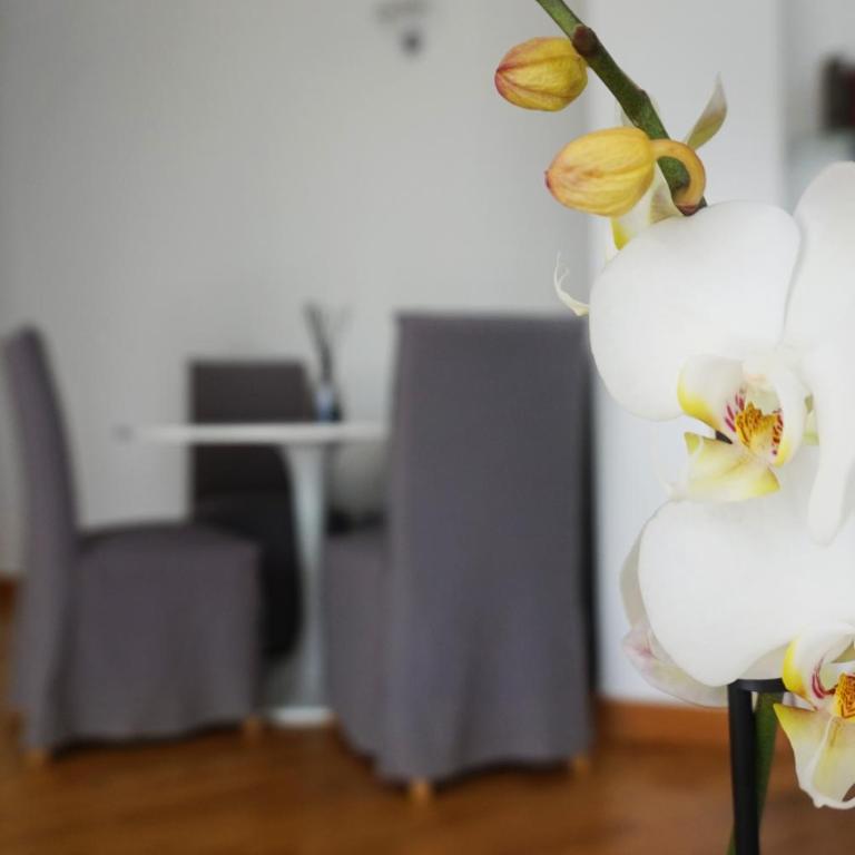 Casa Isola Viscontea - Appartamento con 2 Camere da Letto - 6