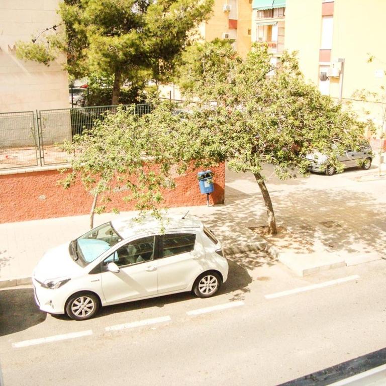 Apartments Plaza de las Escuelas - Three-Bedroom Apartment - 28