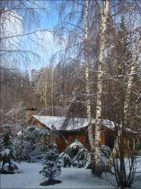 Cabañas En el Corazón del Bosque - Bungalow de 2 dormitorios - 24