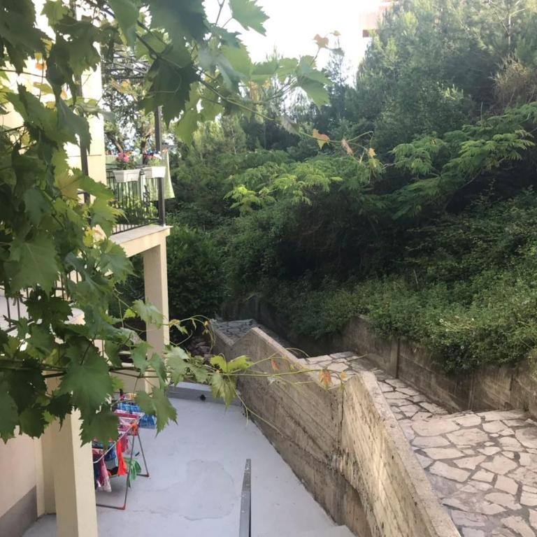 Apartments Petković - Studio with Patio - 5