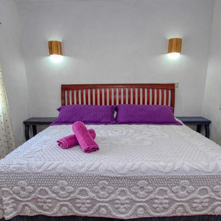 Hotel Spa Maggic Home Panorámica - King Room - 1