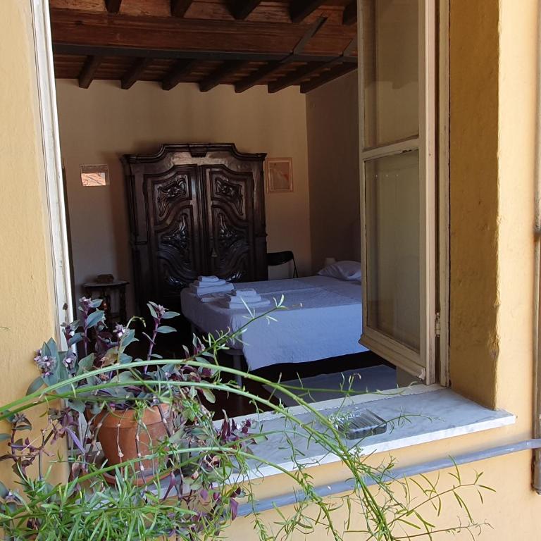 Palatina apartment - Appartamento - senza Ascensore - 7