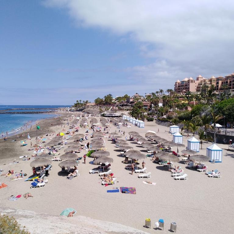 Apto. PIÑA DE MAR - Apartamento de 1 dormitorio - 41