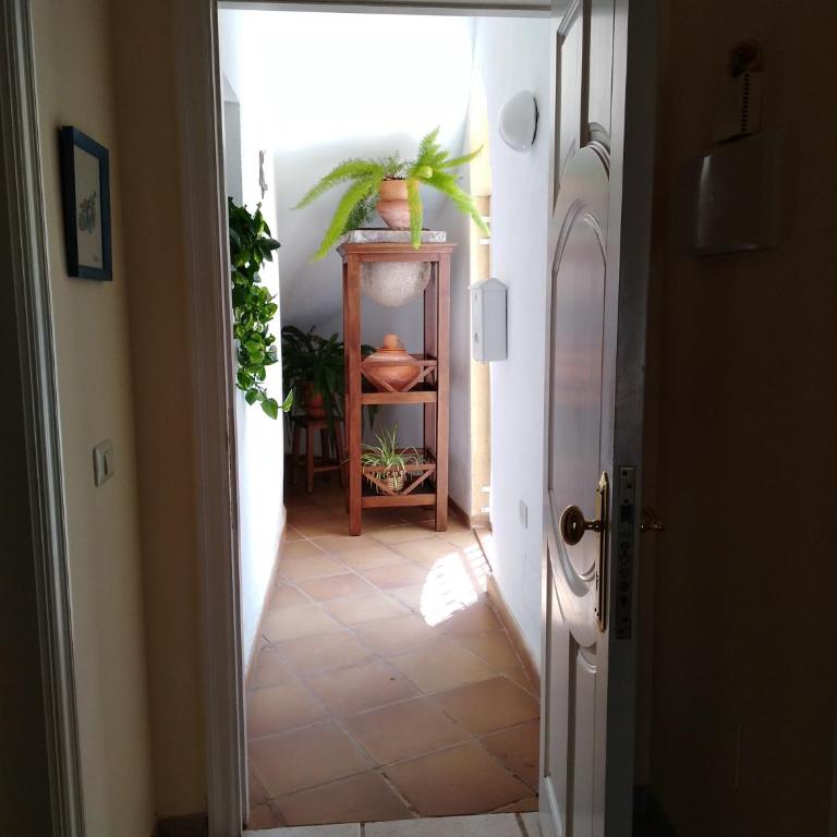 Apto. PIÑA DE MAR - Apartamento de 1 dormitorio - 28
