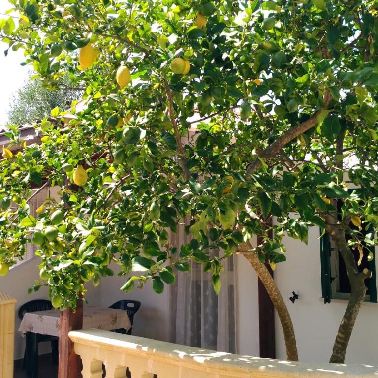 Casa Vacanze la Paloma - Casa con 1 Camera da Letto - 15