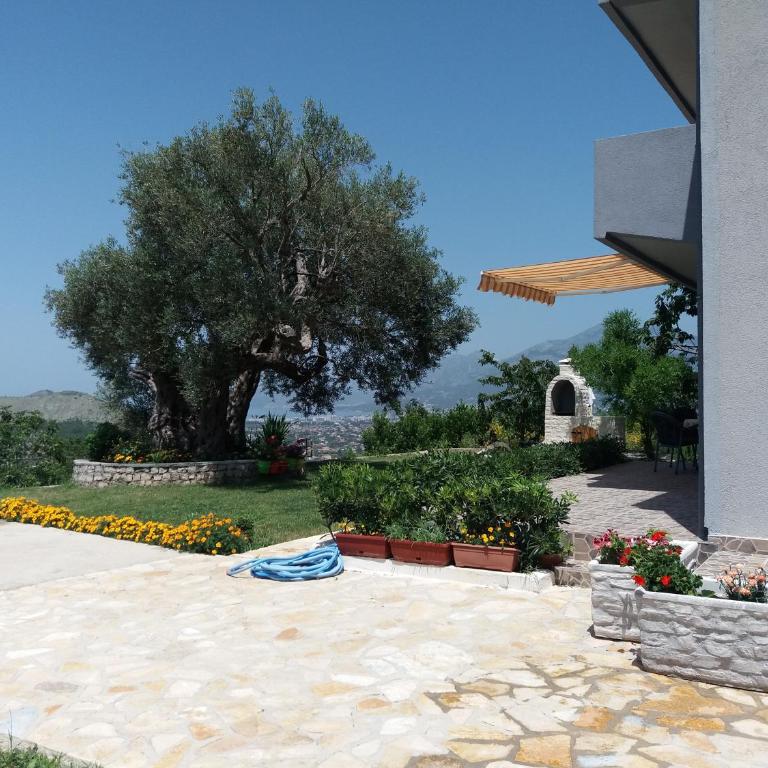 Zelena Maslina - Villa with Private Pool - 14