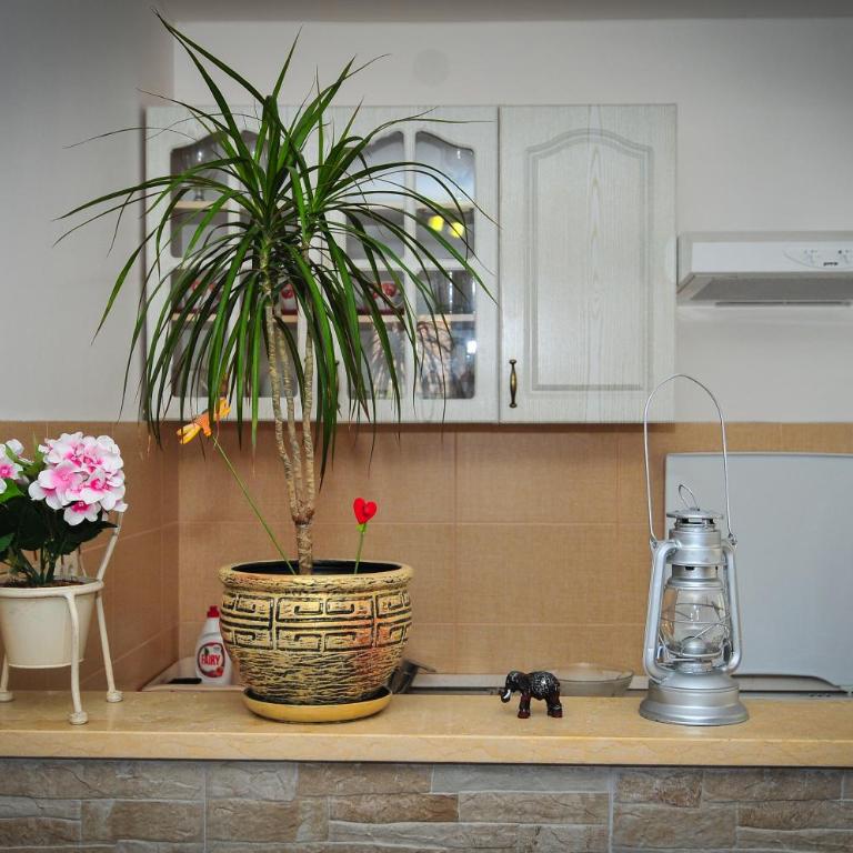Apartment Elena - Apartman sa 2 Spavaće Sobe - 20