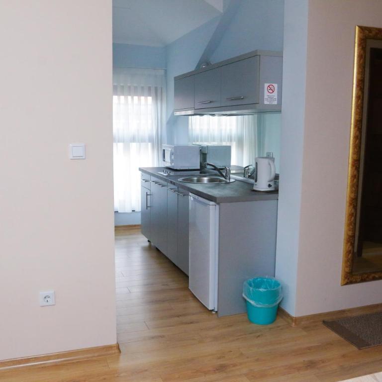 Hotel Logavina 8 Garage Parking - Apartman sa 1 Spavaćom Sobom - 6