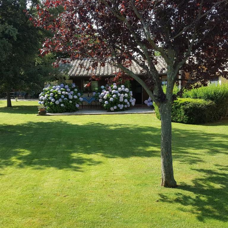 Agriturismo Casale del Contadino - Appartamento con 2 Camere da Letto - 1