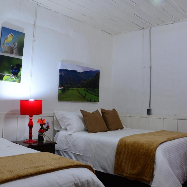 Ecohotel Pinohermoso Reserva Natural - Habitación Doble Deluxe - 2 camas - 8