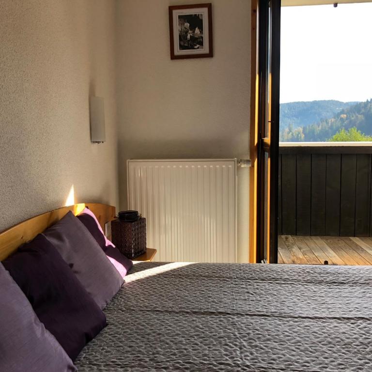 Hotel Restaurant Le Chalet au bord du lac - Chambre Double – Vue sur Lac - 1