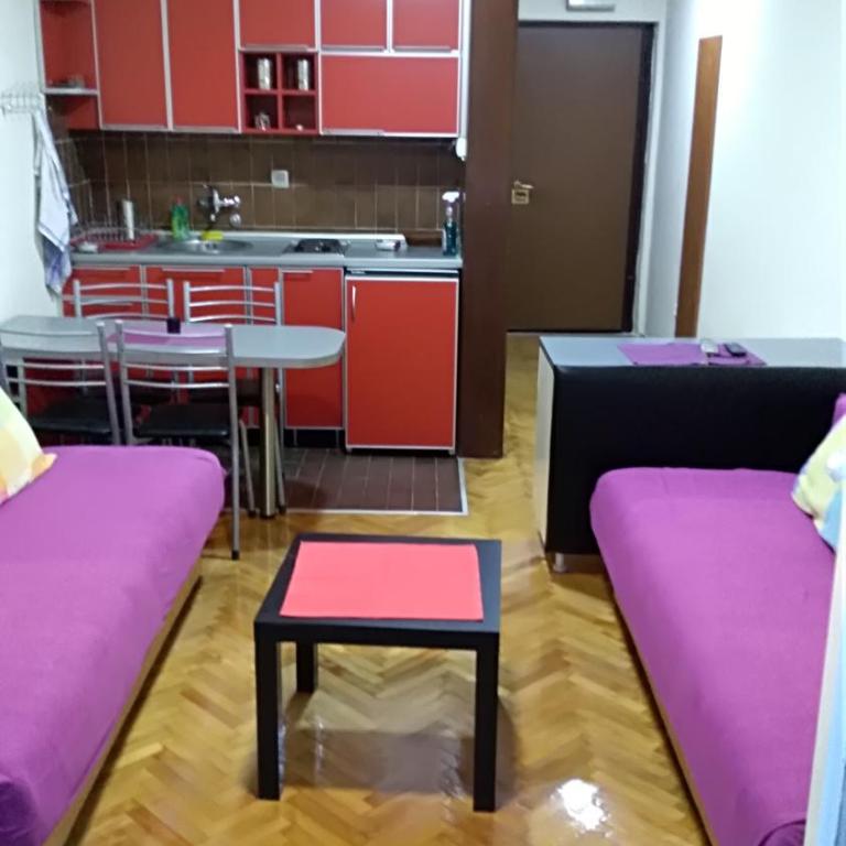 Sunčani apartman 1-Vila Amfora - Apartment with Terrace - 13