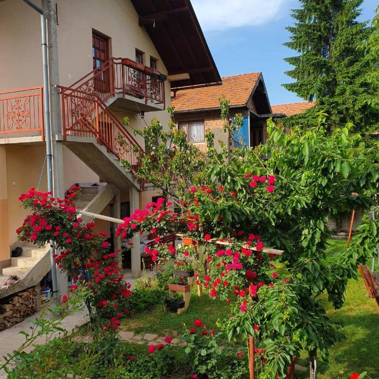 Apartment Kantarije - Apartman - Prizemlje - 23