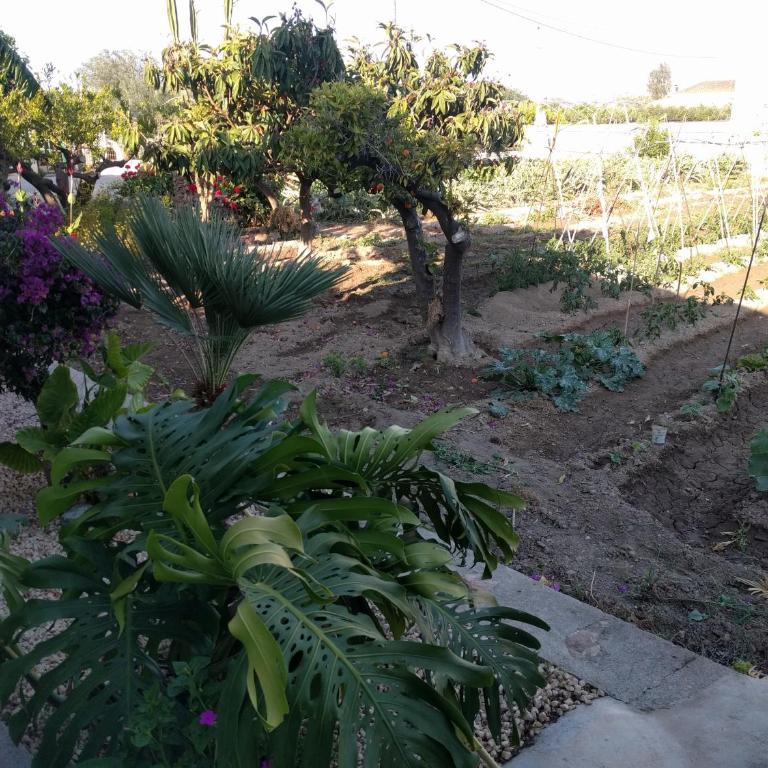 Casa Baleso - Vacation Home - 27