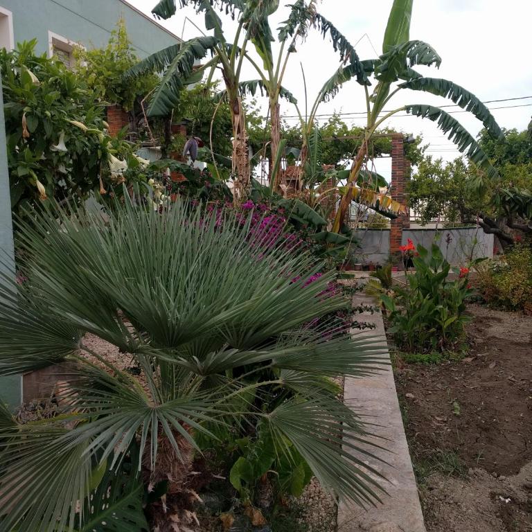 Casa Baleso - Vacation Home - 28