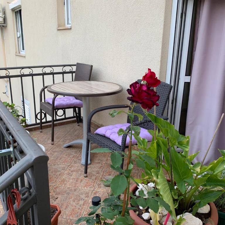 Apartmani Krgušić - Apartman sa 1 Spavaćom Sobom - 9