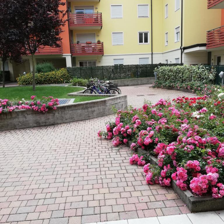 Cà delle Rose - Appartamento con Vista Montagna - 21