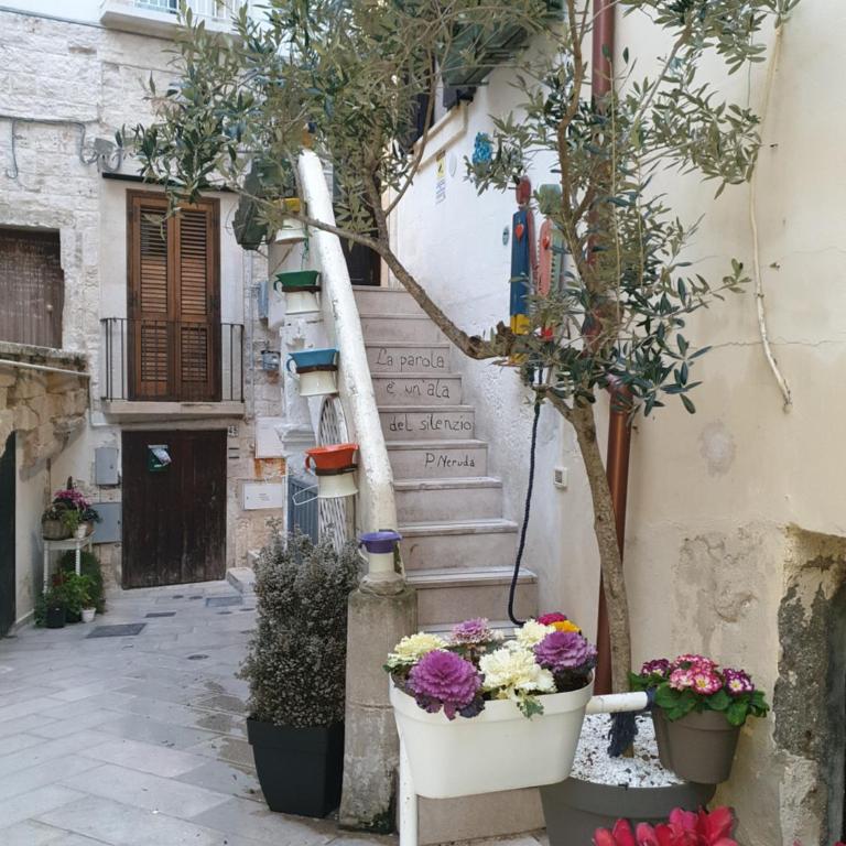 Il Terrazzino del Mare - Casa Vacanze - 39