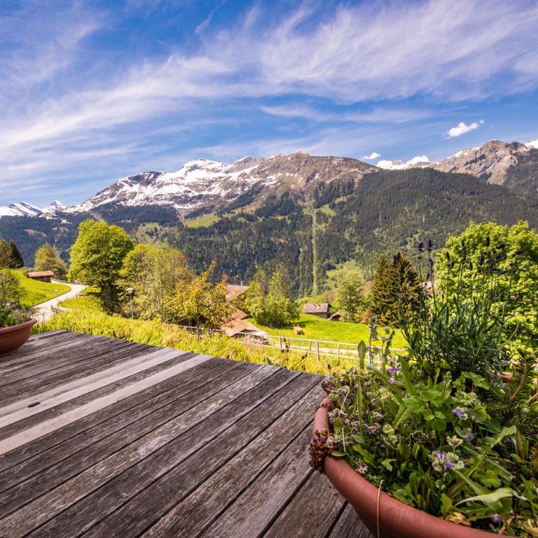 Chalet Roossi 2 - Maisonette-Apartment - 8