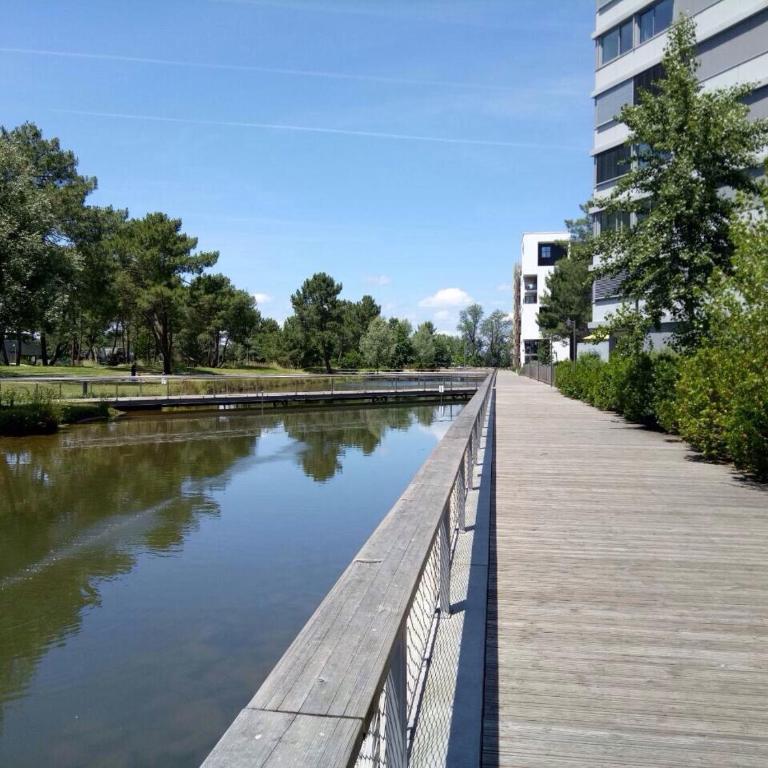 Bel appartement T2 près du lac avc un parking privé - Appartement 1 Chambre - 13