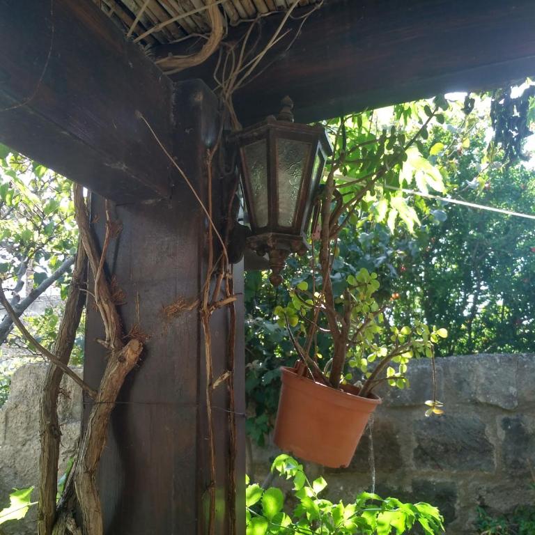 i dammusi di Egle - One-Bedroom House - 9