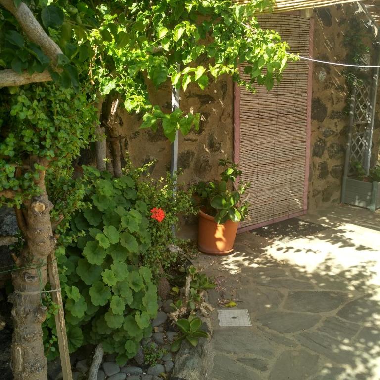 i dammusi di Egle - One-Bedroom House - 2